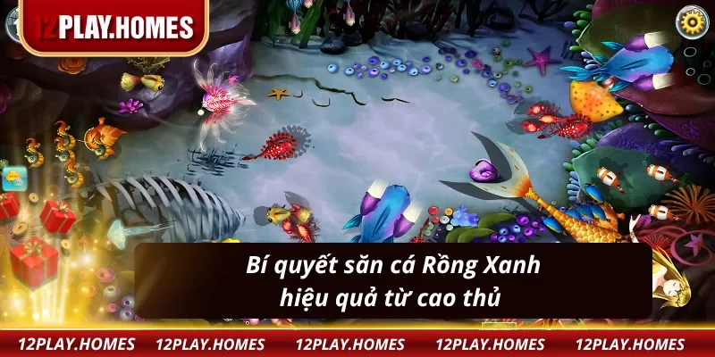 Một số mẹo bắn cá Rồng Xanh hữu ích từ cao thủ 